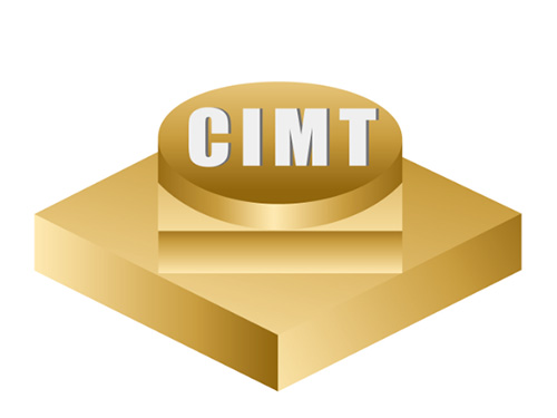 Logo cimt